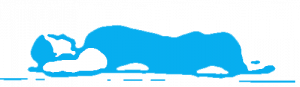 Savasana_papillon_doscreux